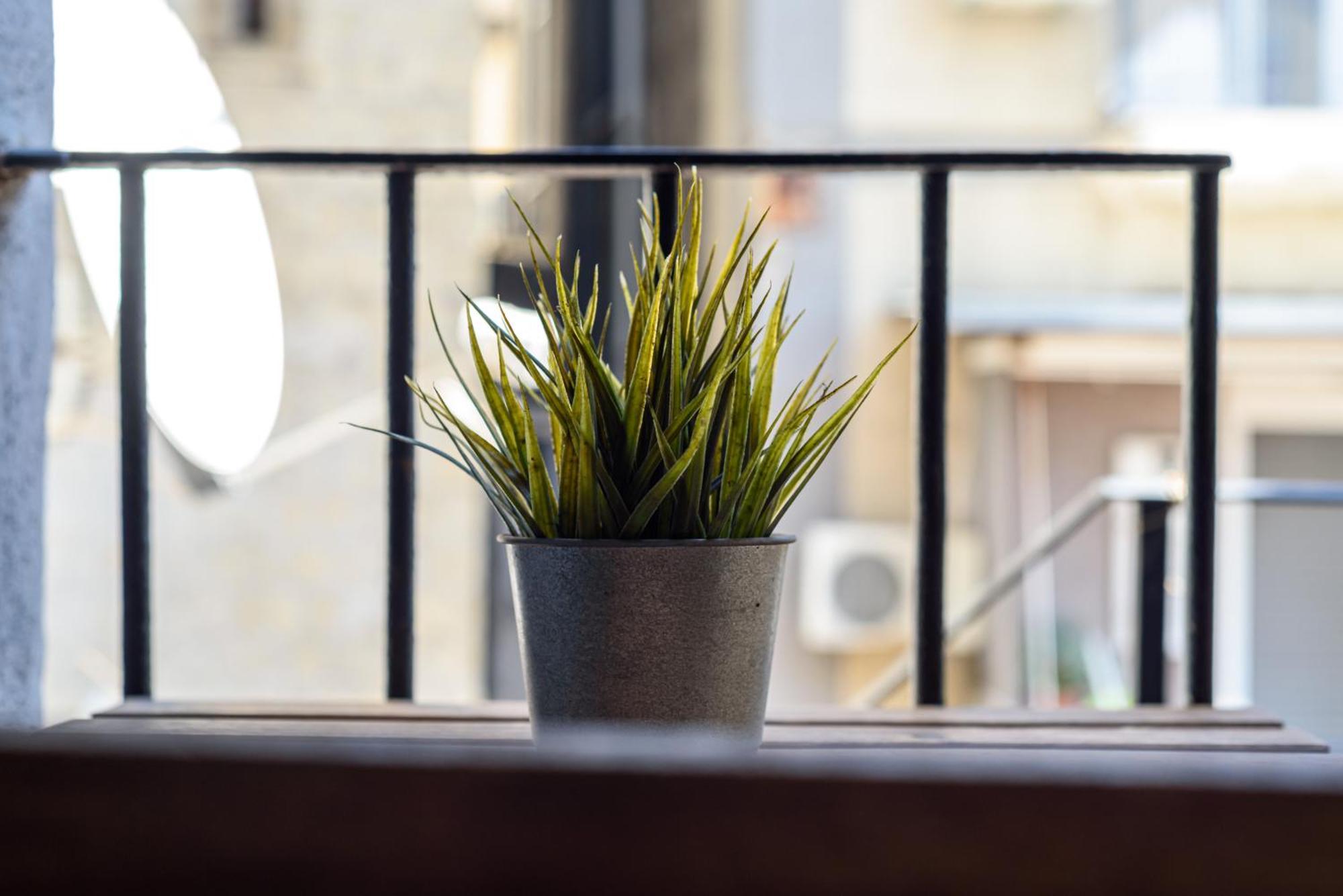 La Terrazzina Sul Porto Apartment Napoli Bagian luar foto